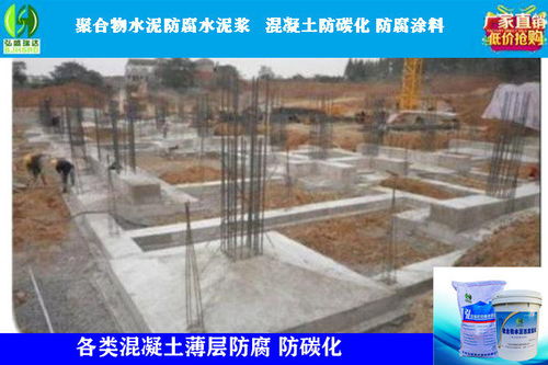 三门峡卢氏防碳化防腐浆料在房屋修缮中的应用与价值